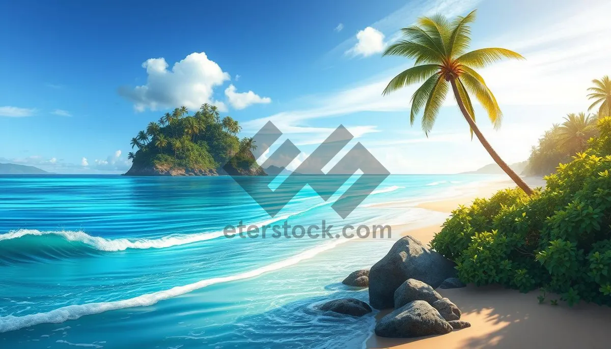 Picture of Tropical Sunset Over Palm Trees and Ocean