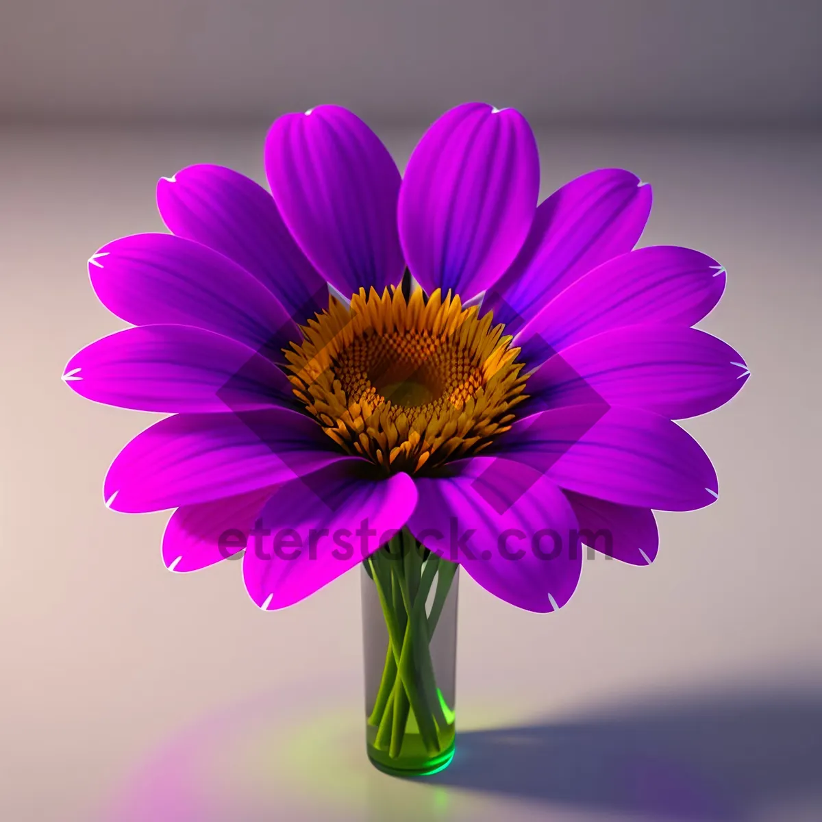 Picture of Vibrant Sunflower Blooming in Summer Garden