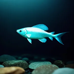 Exotic Marine Life in Underwater Aquarium
