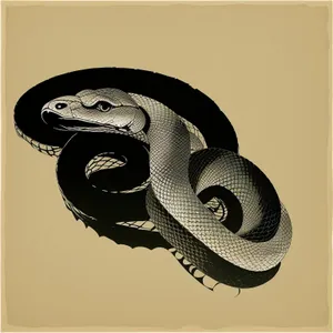 Wildlife Serpent Collection: King Snake, Sea Snake, Viper, Rattlesnake and Boa