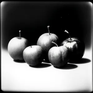 Shiny Winter Apple Bauble - Holiday Fruit Decoration