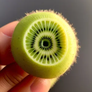 Refreshing Kiwi Fruit Slice: Juicy and Nutritious!