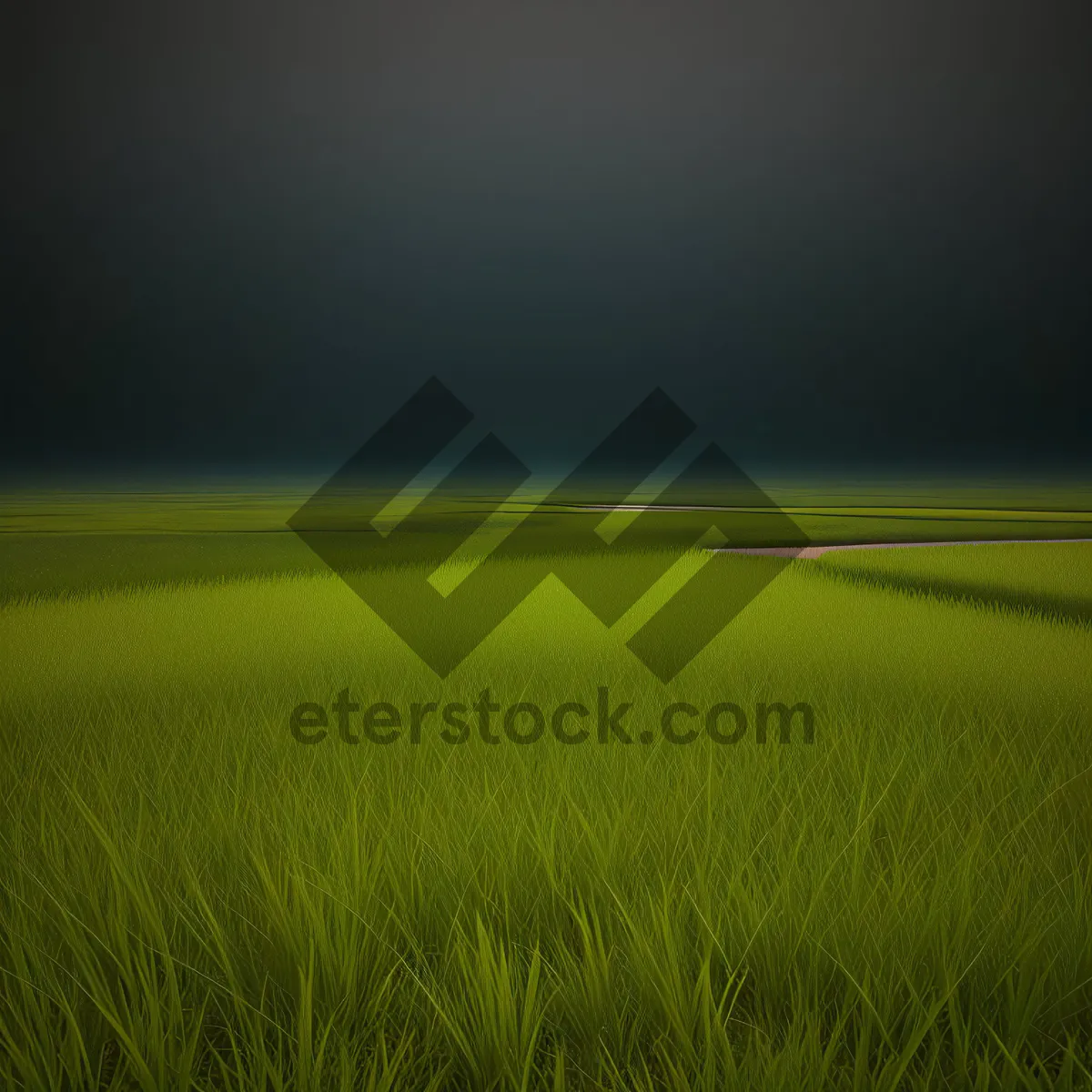 Picture of Vibrant countryside meadow under sunny spring sky