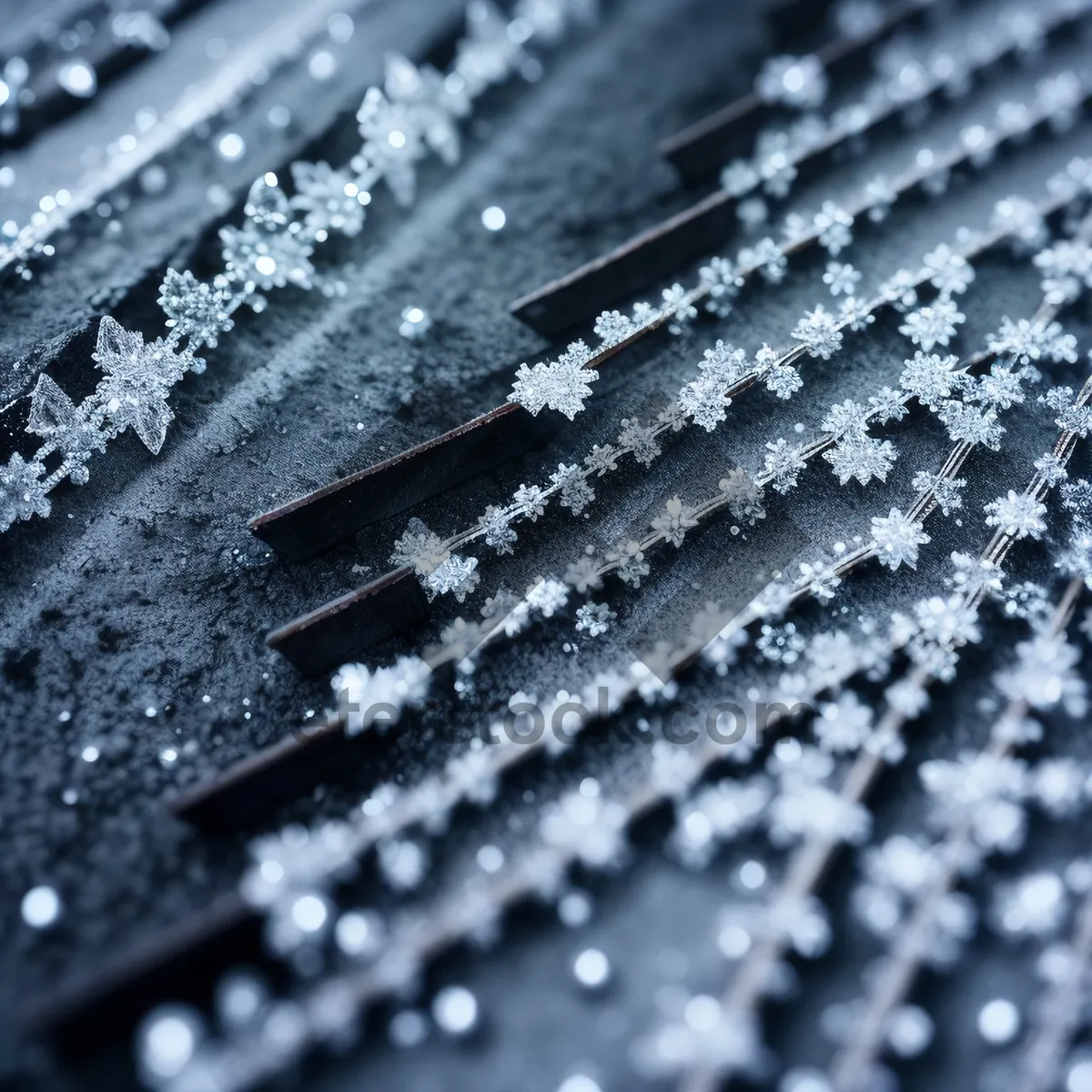 Picture of Wet Hairbrush with Water Drops and Texture