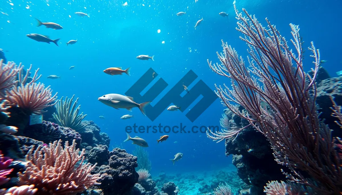 Picture of Colorful Coral Reef in Sunlight with Tropical Fish