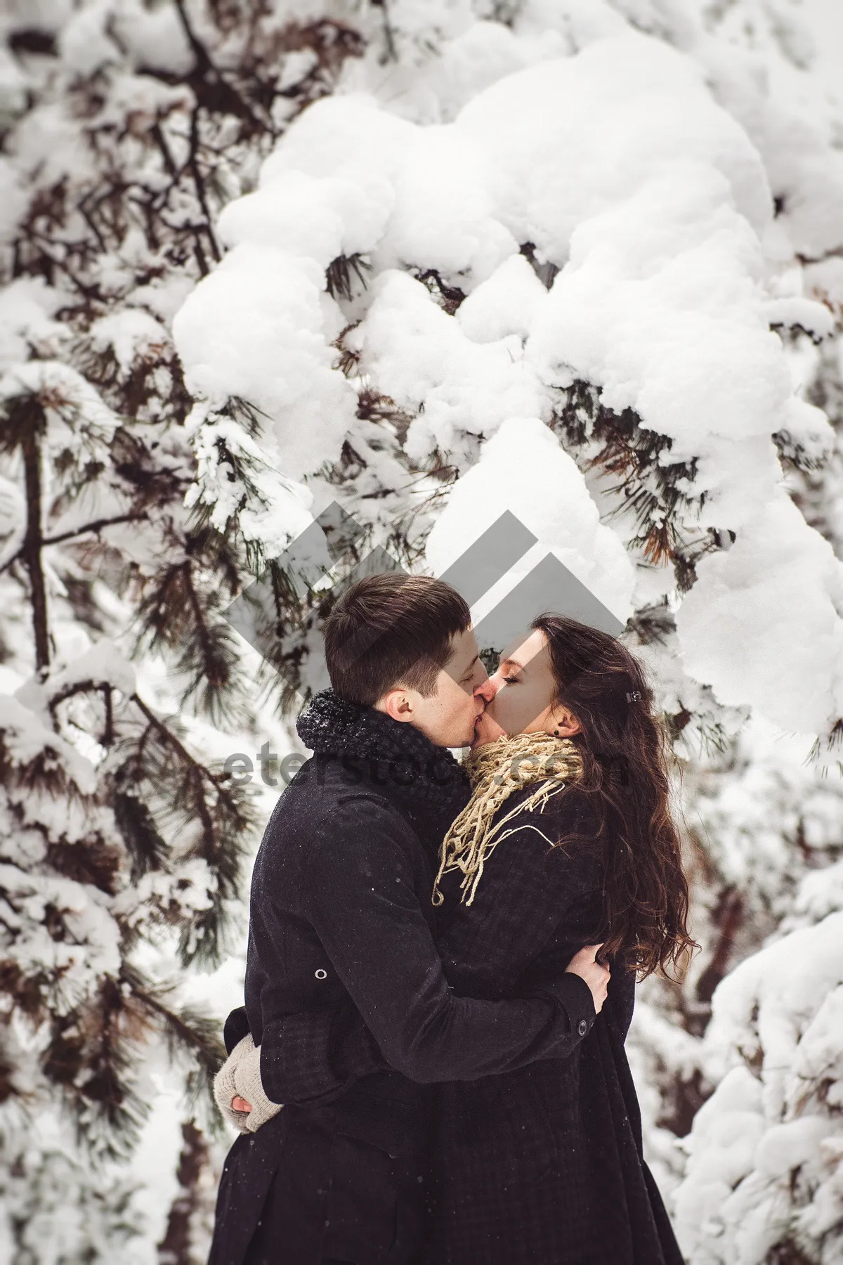 Picture of Winter fun in park