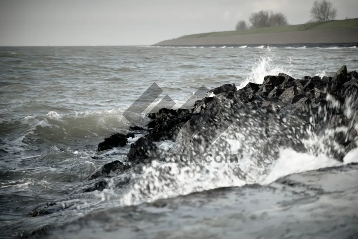 Picture of Rocky Shoreline Waves on Summer Day