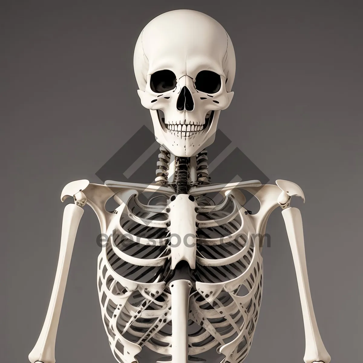 Picture of Spooky Skeleton Mask in 3D Render Pose