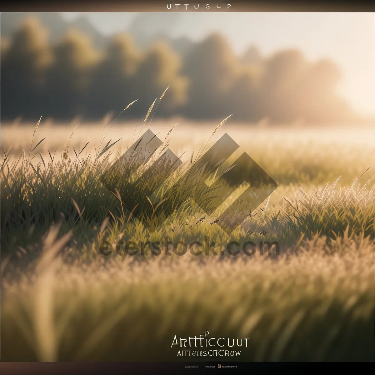 Picture of Vibrant Wheat Field Under Sunny Summer Sky