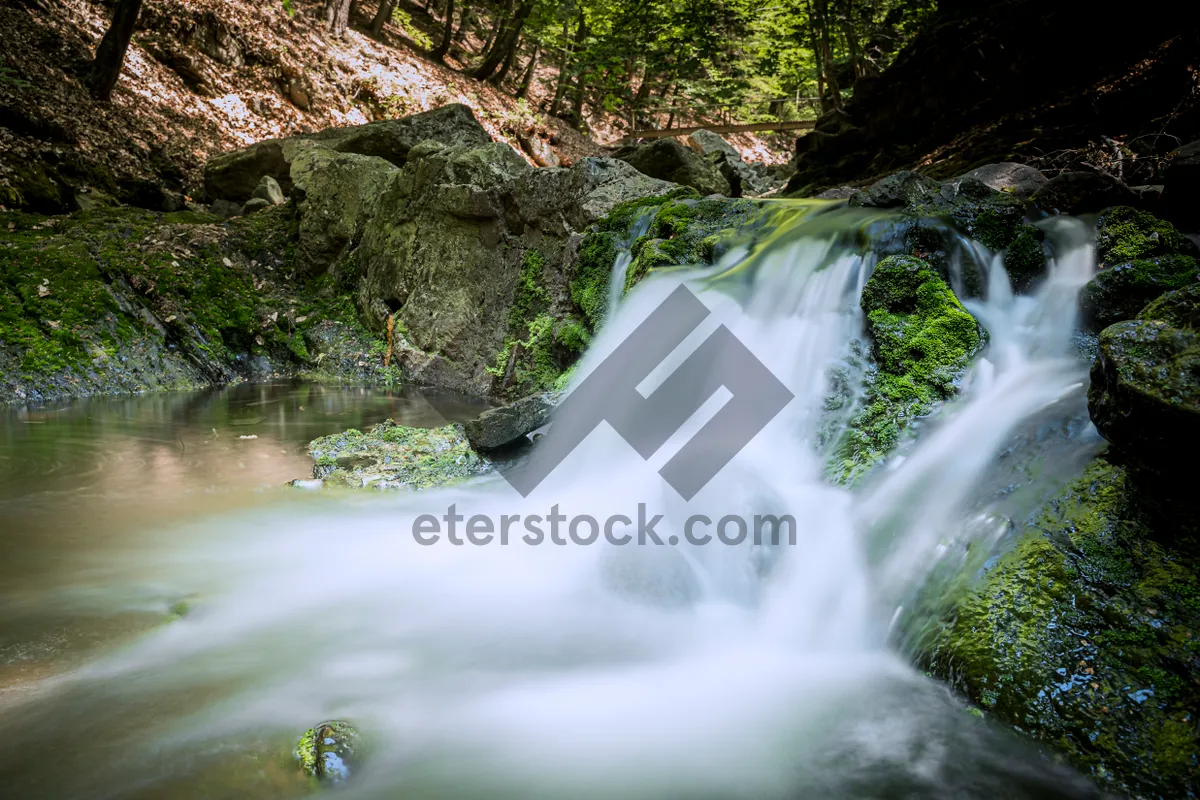 Picture of Serene waterfall in lush forest environment dipiction.