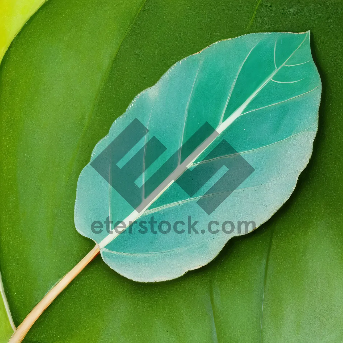 Picture of Vibrant Leaf Close-Up: Flamingo Flower Foliage