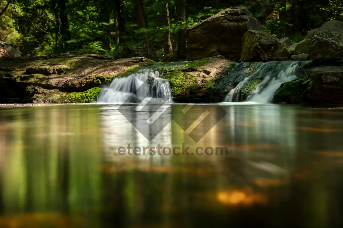 Picture of Summer Lake in Serene Forest Setting with Waterfall