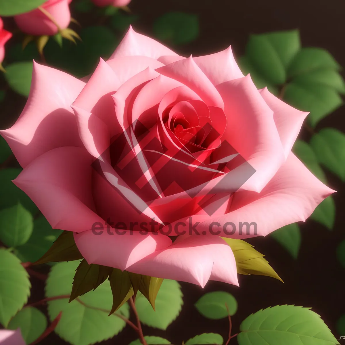 Picture of Romantic Rose Bouquet for Valentine's Day