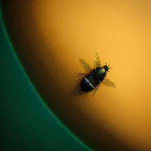 Close-up of Insect on Leaf