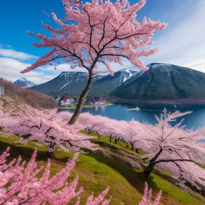 Autumn Maple Tree in Serene Park Landscape