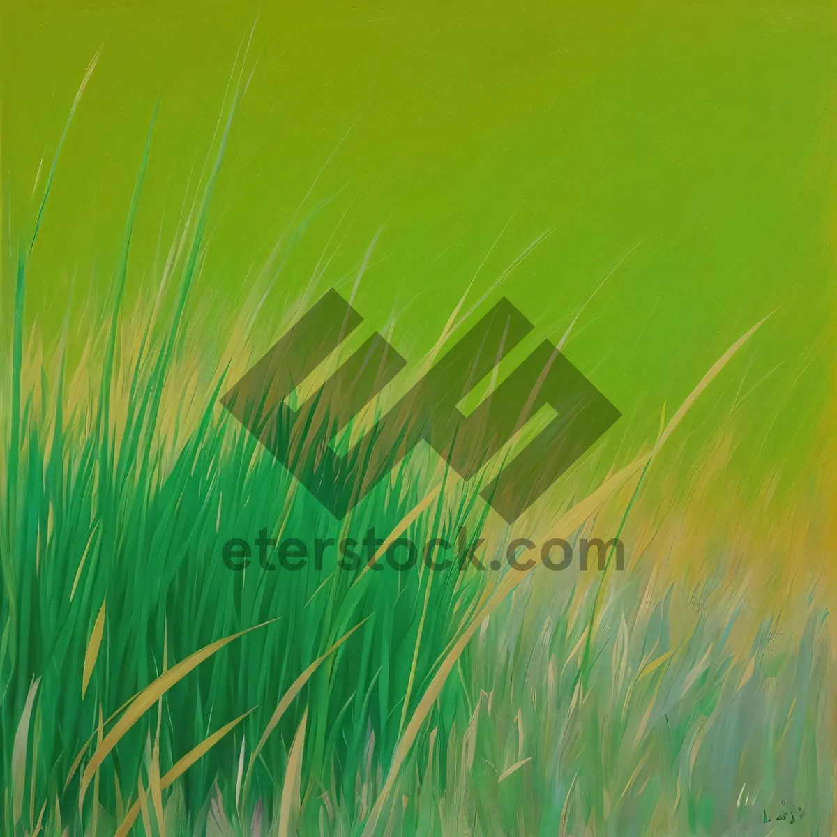 Picture of Vibrant Wheat Meadow Under the Bright Sun