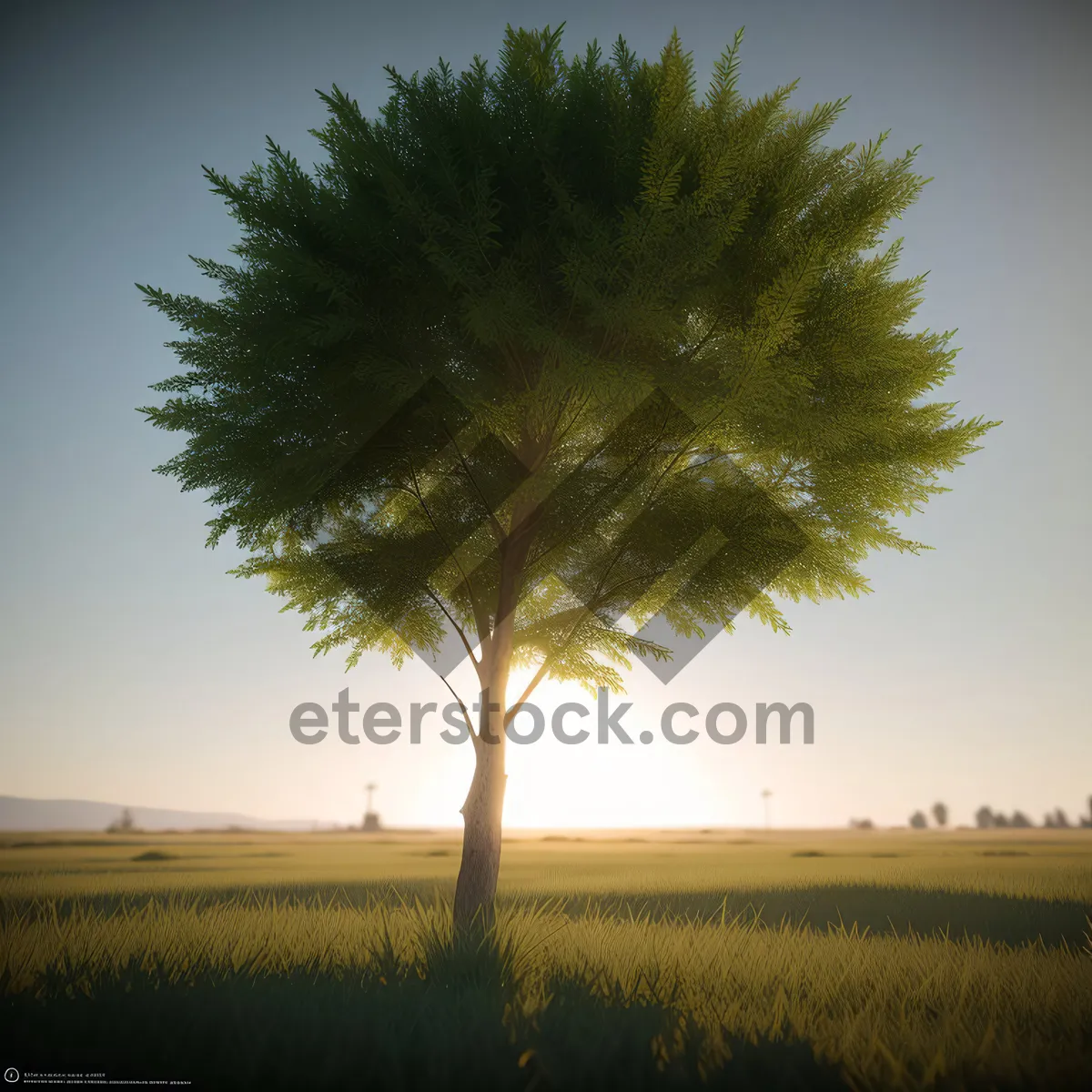 Picture of Serenity in the Countryside
