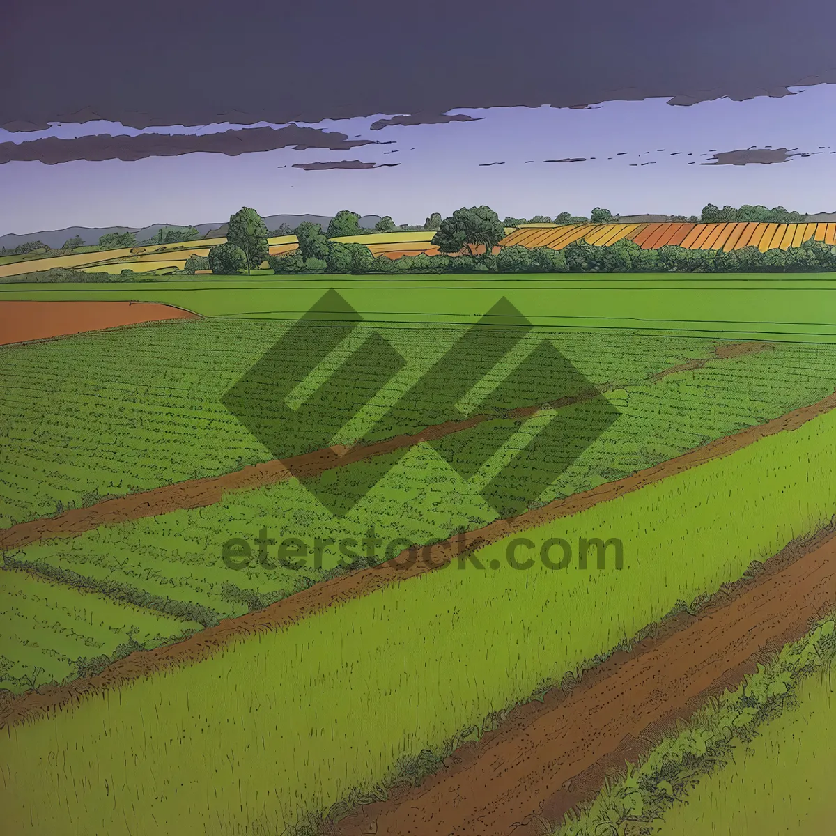 Picture of Serene Rural Landscape with Fields of Wheat and Rapeseed