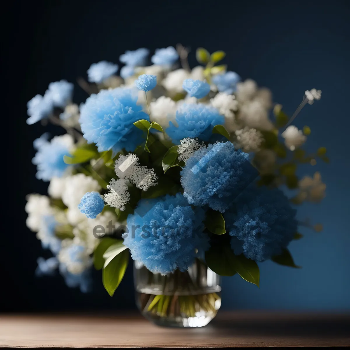 Picture of Spring hydrangea blossom on woody branch in garden