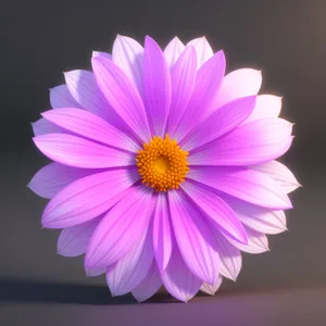 Daisy Bloom: Vibrant Floral Beauty in Full Bloom