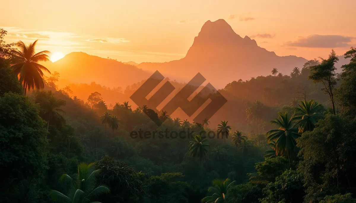 Picture of Orange Sunset Sky Over Forested Mountains Landscape