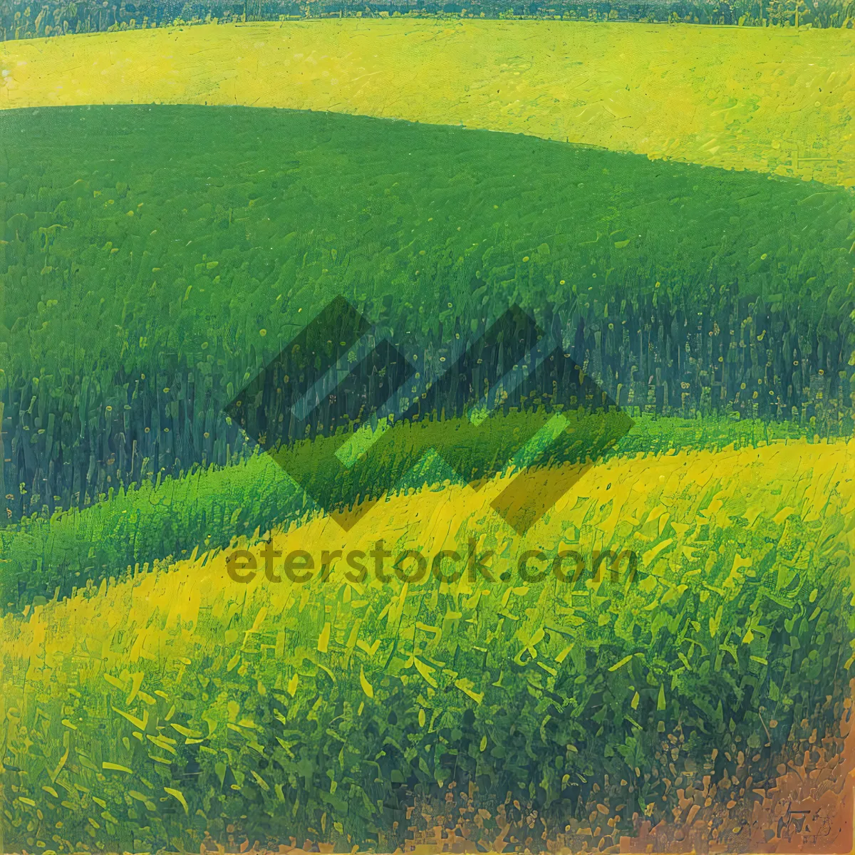 Picture of Vibrant Rapeseed Field Under Blue Sky