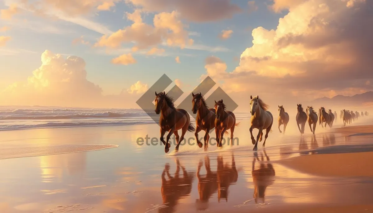 Picture of Sunset silhouette of majestic horse on beach ranch.