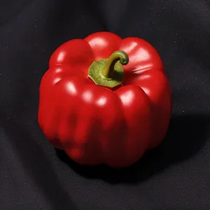 Fresh Bell Pepper Salad with Colorful Vegetables