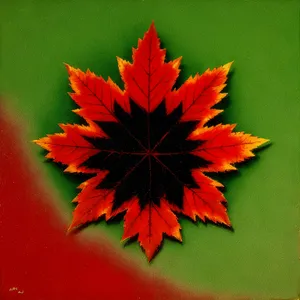 Colorful Autumn Maple Leaf with Leaves