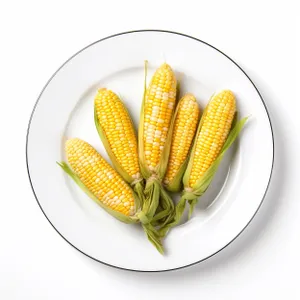 Fresh Vegetarian Plate with Sweet Corn and Yellow Tomatoes