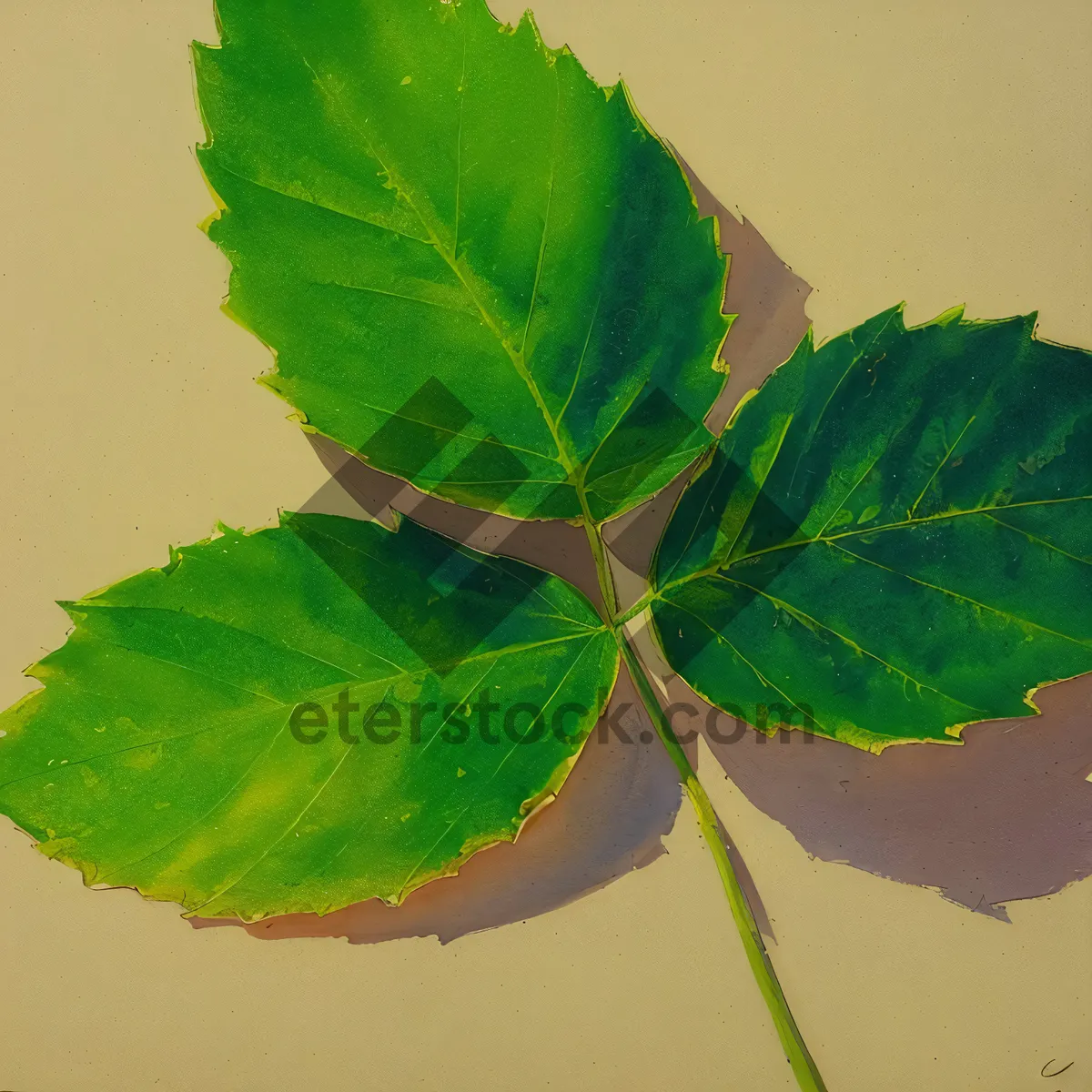 Picture of Vibrant Summer Leaf in Garden's Greenery