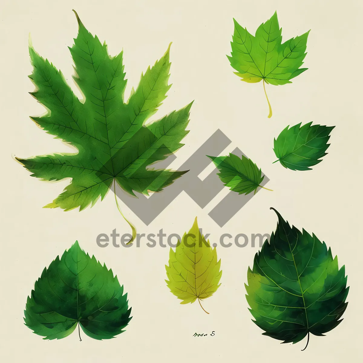 Picture of Lush Green Foliage: Refreshing Summer Leaves and Herbs