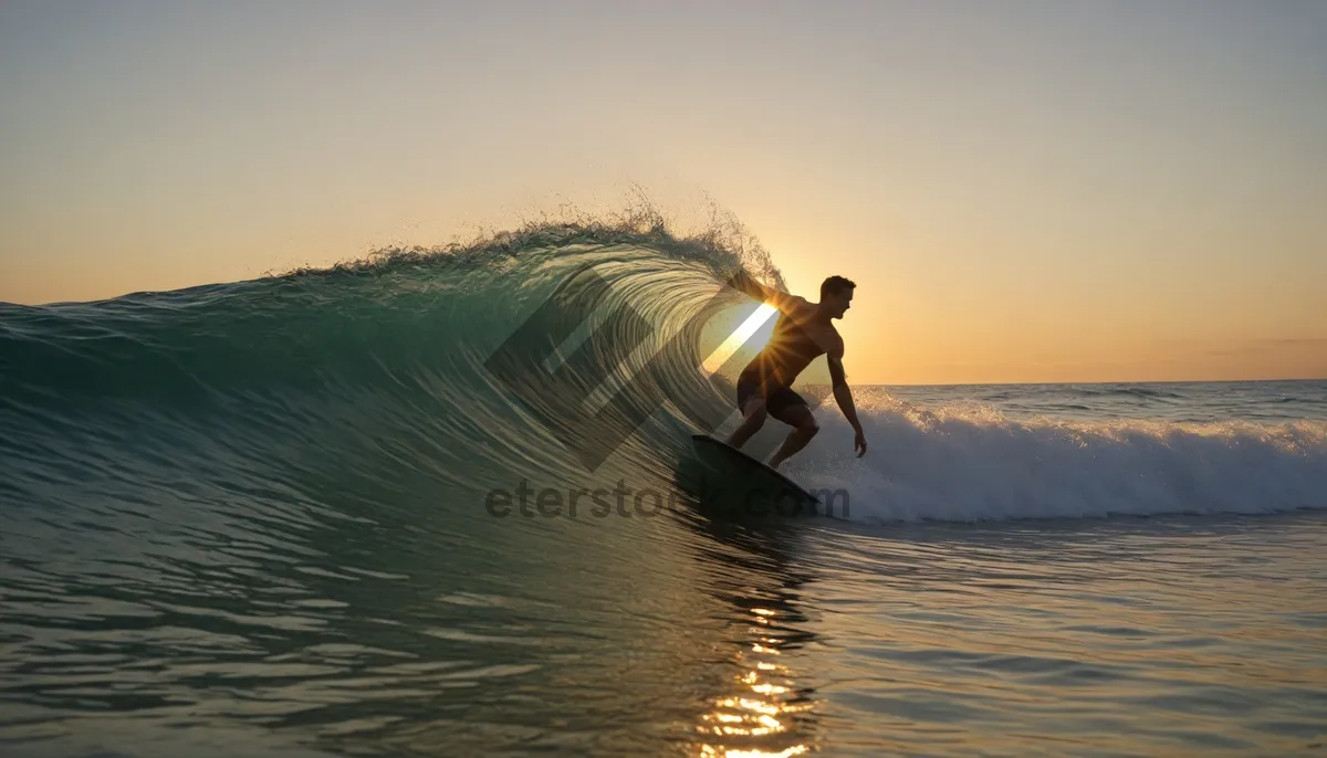 Picture of Silhouette of man paddle boarding at sunset on ocean