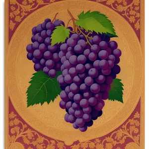Sweet Vineyard Bunch of Grapes
