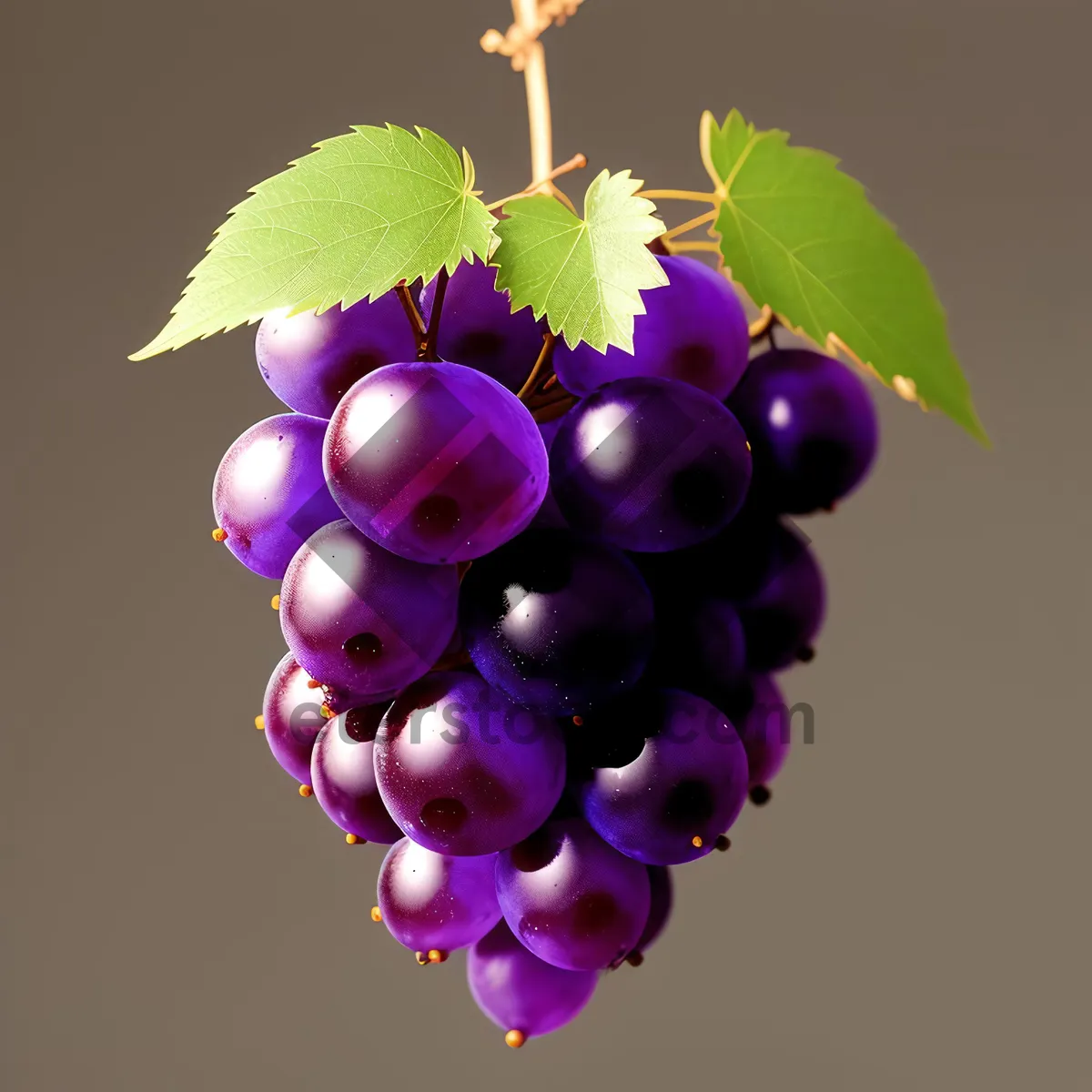 Picture of Vibrant Grapes in a Bountiful Vineyard