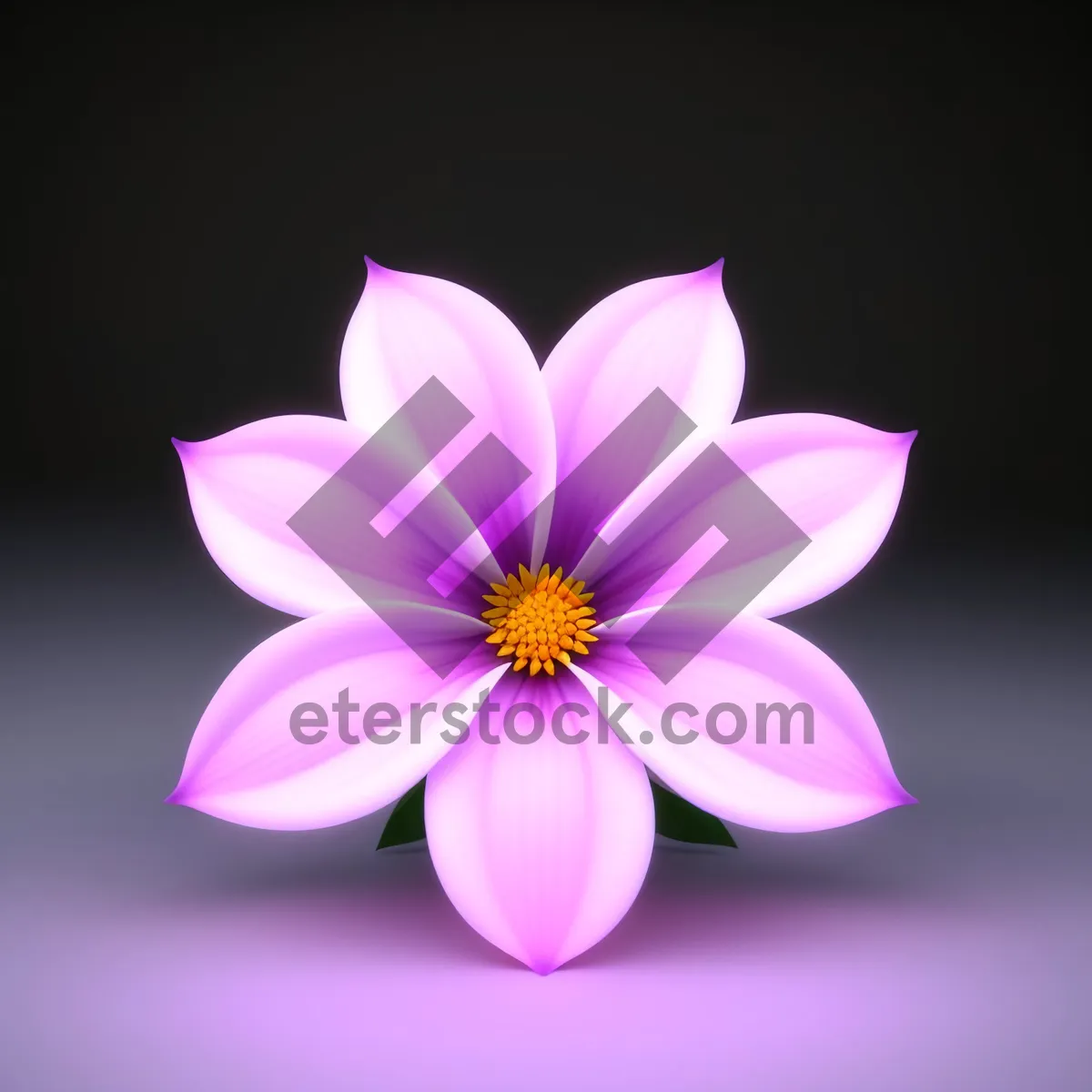Picture of Blooming Lotus: Delicate Pink Floral Petals in Full Bloom