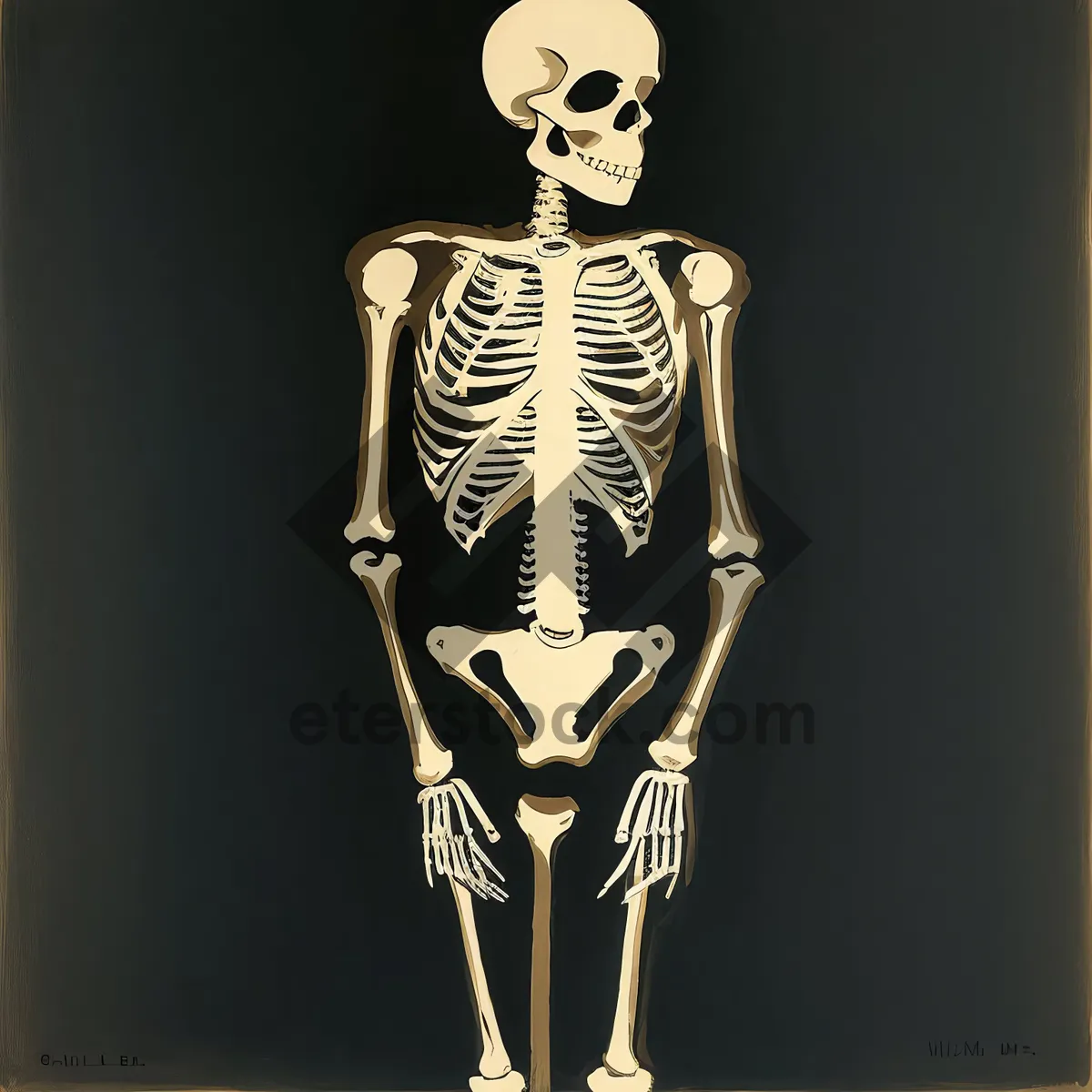 Picture of Anatomical Skeleton Charm - X-ray Graphic