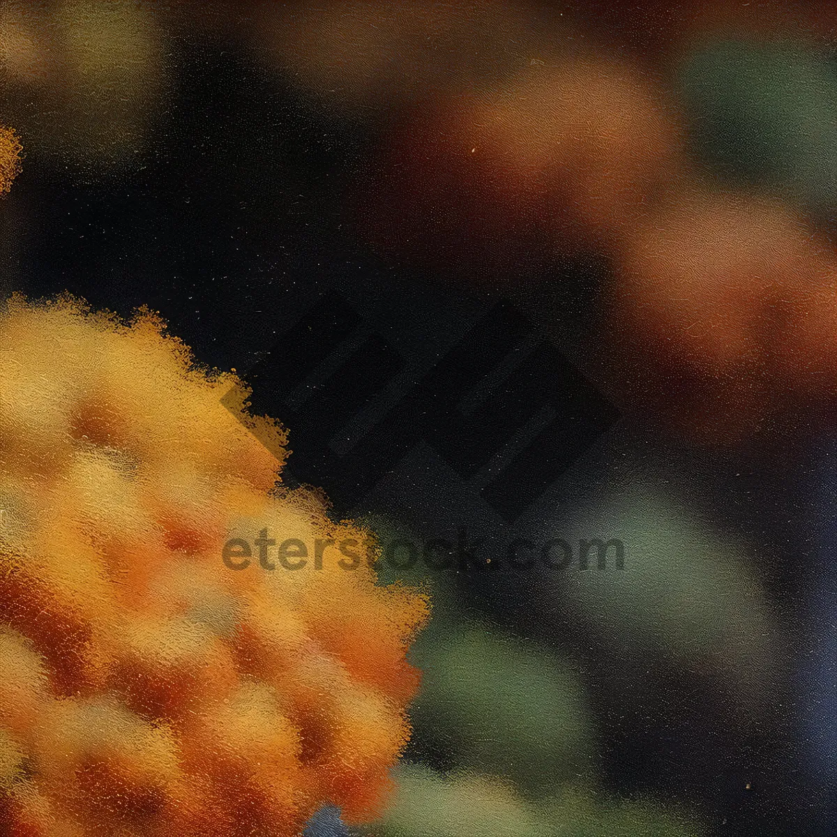 Picture of Light Animal - Polyp Coelenterate Sea Squirt Image