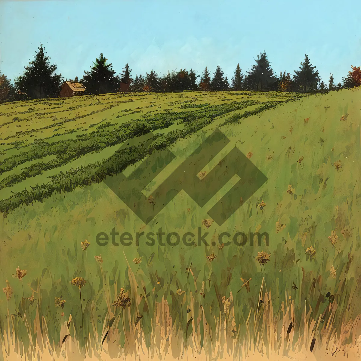 Picture of Golden Wheat Field Under Clear Blue Sky