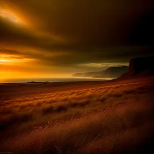 Golden Horizon Over Tropical Shoreline