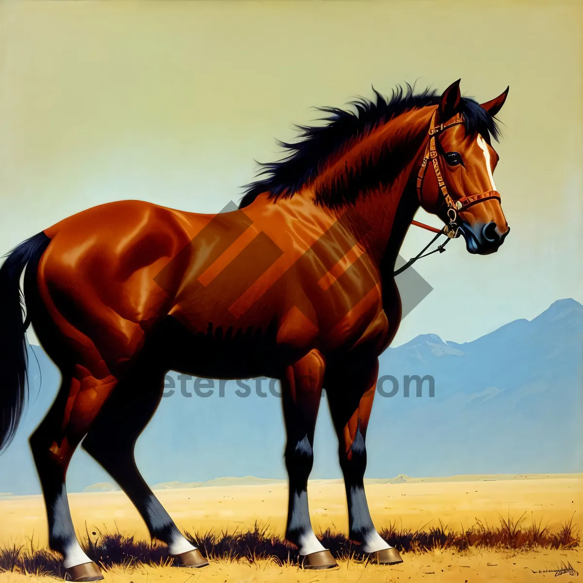 Picture of Stunning Thoroughbred Stallion Grazing in Rural Pasture