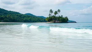 Tropical beach paradise with palm trees and waves