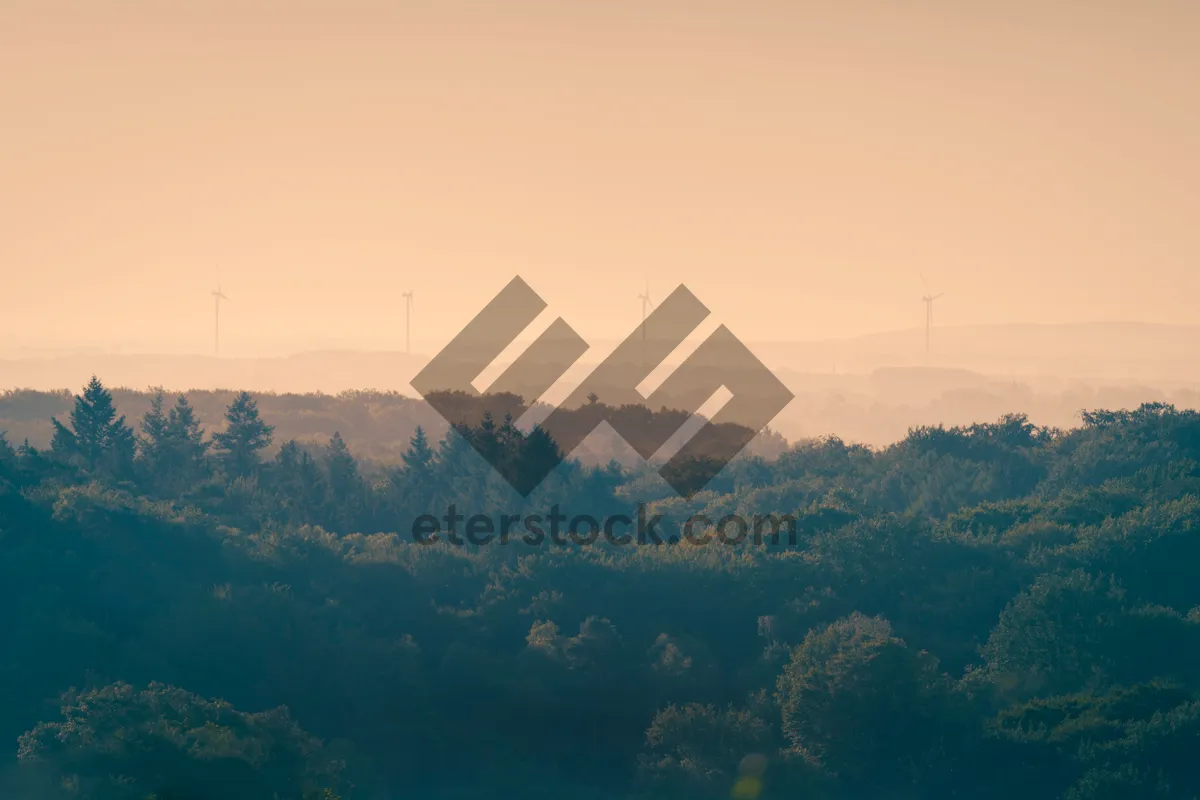 Picture of Scenic Park Landscape with Mountains and forrest