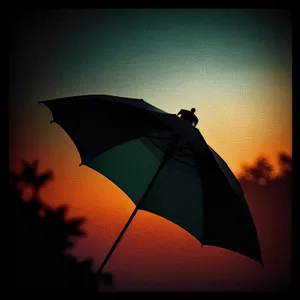Protective Canopy: Shielding You from the Rain