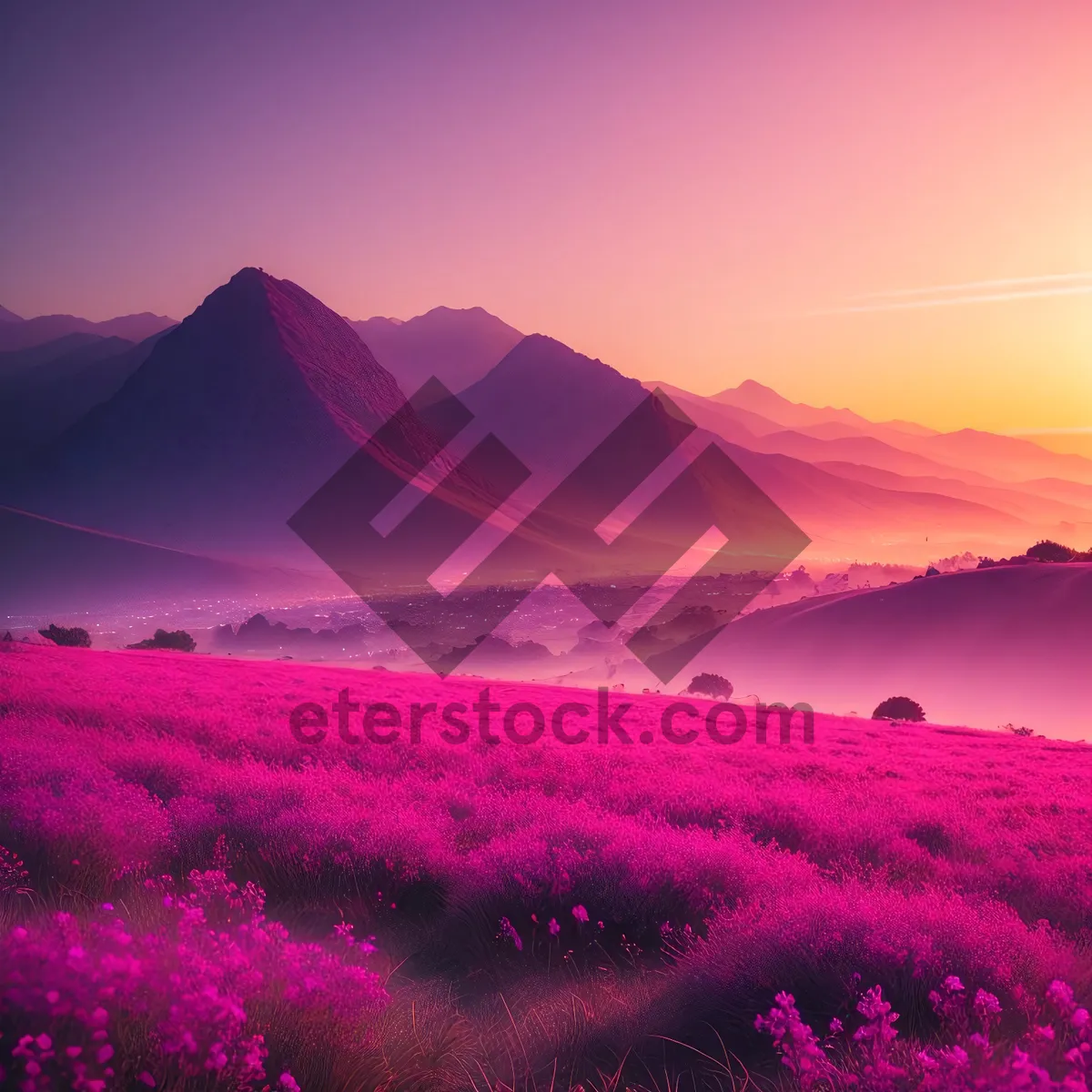 Picture of Highland Sunset Over Rural Meadow