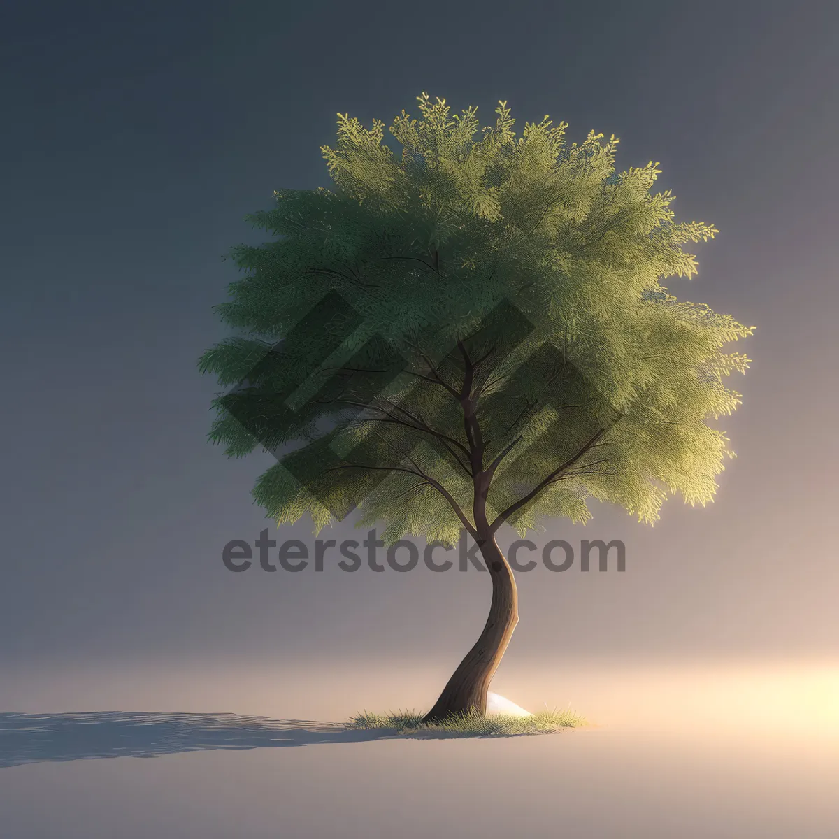 Picture of Serene Summer Solitude under the Oak Tree