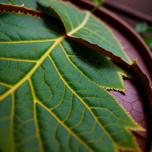 Colorful Fractal Leaf Pattern on Futuristic Digital Wallpaper