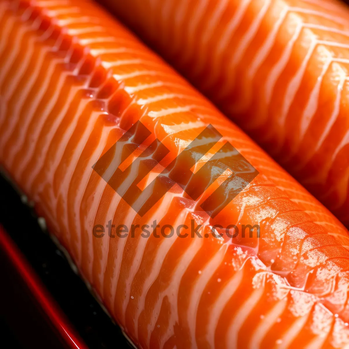 Picture of Gourmet Salmon Sushi Plate with Fresh Carrots