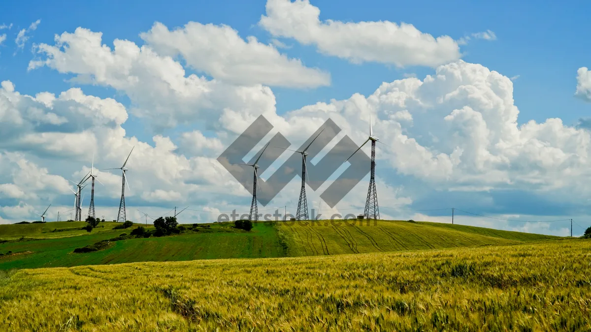 Picture of Summer sky over rural field with wind turbine