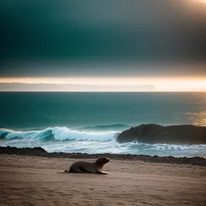 Tranquil Coastal Serenity: Vibrant Sunset Over Crystal Clear Ocean Waves